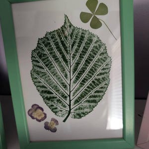 Rachel added a photo of their purchase