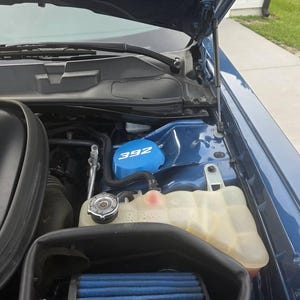 Bradley added a photo of their purchase
