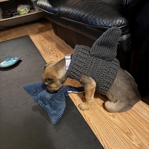 Jocelyn さんが購入した商品の写真を追加しました