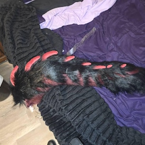 Lee added a photo of their purchase