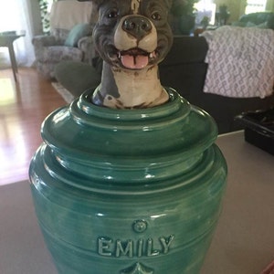 pitbull cookie jar
