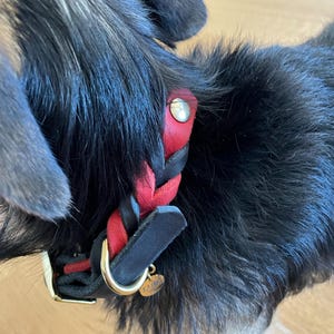 Amelie added a photo of their purchase
