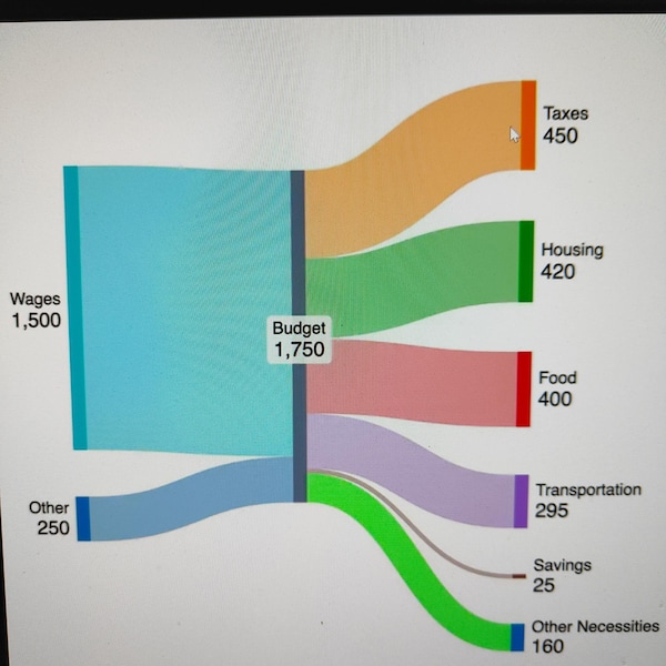 Personal Budget Flow Chart Etsy
