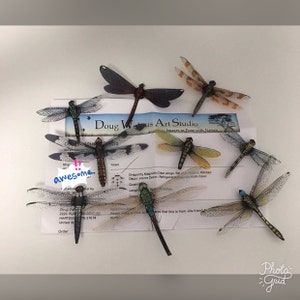 Dragonfly Magnets Set of 9 Clearwings Multi-Color Insect Refrigerator Magnets 