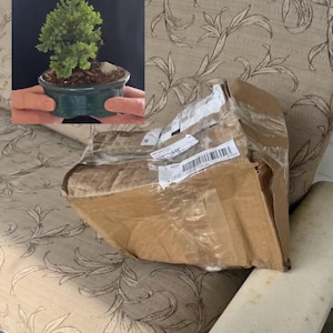 CG ha añadido una foto de su compra