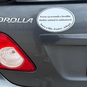 Annalise added a photo of their purchase