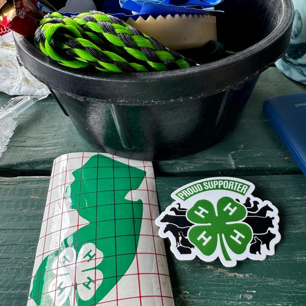 Show Lamb Keychain - FFA Lamb - 4H Lamb - Livestock Keychain - Etsy