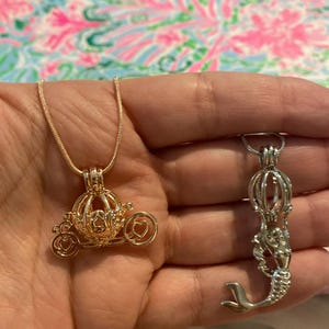 Caitlyn added a photo of their purchase