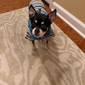 Bettina added a photo of their purchase