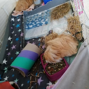 Cathy added a photo of their purchase