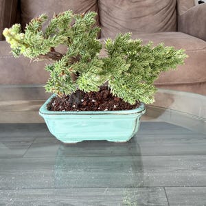 Comprador de Etsy ha añadido una foto de su compra