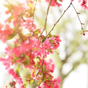Emily ha añadido una foto de su compra