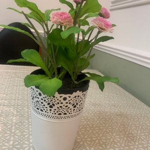 Harpreet added a photo of their purchase