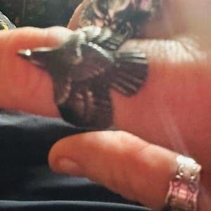 Jennifer added a photo of their purchase