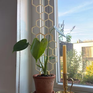 Pauline added a photo of their purchase