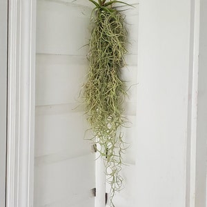 Christina heeft een foto van zijn/haar aankoop toegevoegd