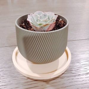 Mallory added a photo of their purchase