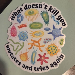 Sheyenne added a photo of their purchase