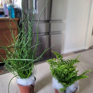 C added a photo of their purchase