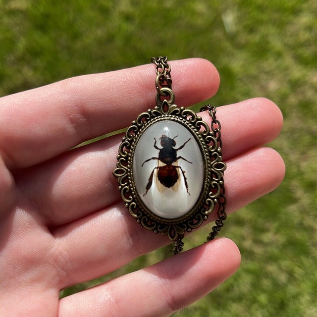 Real Bee Necklace Preserved Insect Pendant Bug Jewelry 