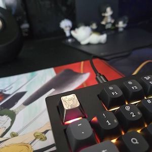 Ashley ha aggiunto una foto del proprio acquisto