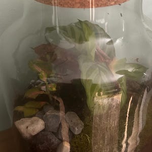 Shannon a ajouté une photo de son achat