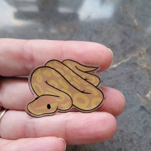 Becki added a photo of their purchase