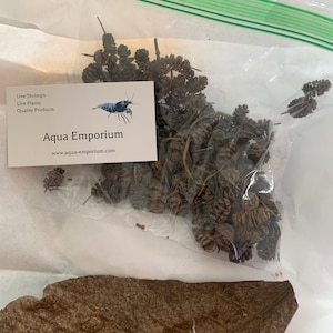 Amanda added a photo of their purchase
