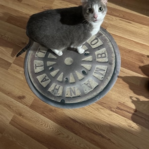 Mary added a photo of their purchase