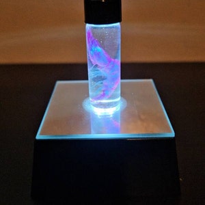Alfredo added a photo of their purchase