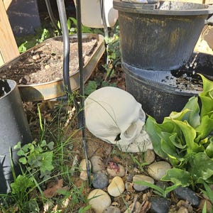 Prescott added a photo of their purchase
