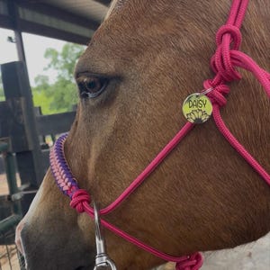 erica added a photo of their purchase