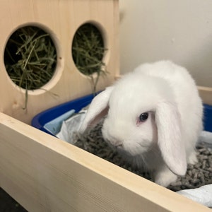 Rabbit Hay Feeder With Litter Box Etsy