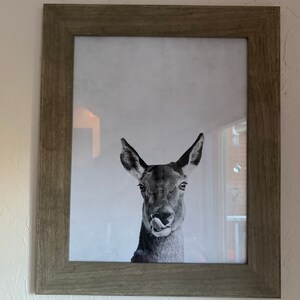 RACHEL added a photo of their purchase