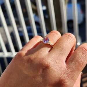 Geni added a photo of their purchase