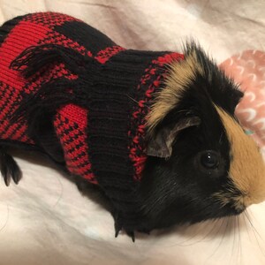 Isabelle added a photo of their purchase