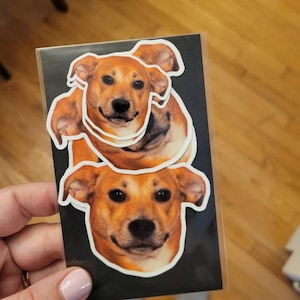 Anne added a photo of their purchase