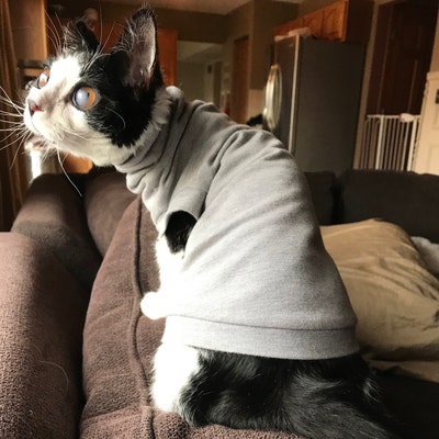 Kotomoda Cat's Turtleneck Ghost Sweater For Sphynx & Hairless Cats - Soft Organic Cotton Cat Clothes (Large)