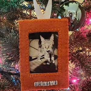 Haley added a photo of their purchase