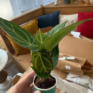 Bernard added a photo of their purchase