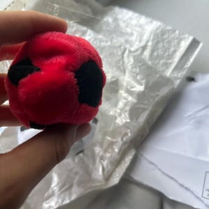megan added a photo of their purchase