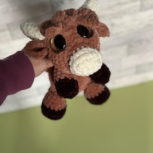 Jenny added a photo of their purchase