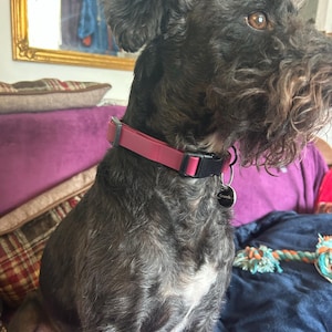 Freya added a photo of their purchase