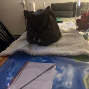 Maeva added a photo of their purchase