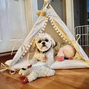 Mary added a photo of their purchase