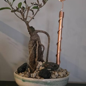 D added a photo of their purchase
