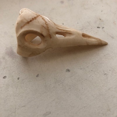 Bird Skull Ring Like Real Skull but Carved From Bone Raven Skull Ring ...