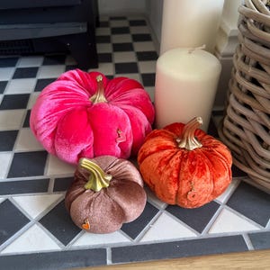 Lucy added a photo of their purchase