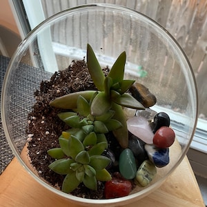 Stephanie added a photo of their purchase
