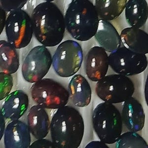 steve adicionaram uma foto da sua compra